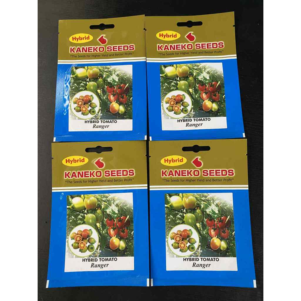 AquaponicsGoGreen Kaneko Seeds- Hybrid Tomato (Ranger) | Shopee Philippines