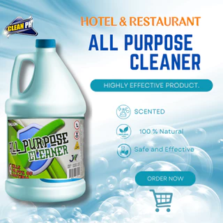 Shop all purpose cleaner for Sale on Shopee Philippines