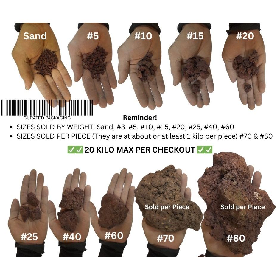 Shop lava rock for Sale on Shopee Philippines