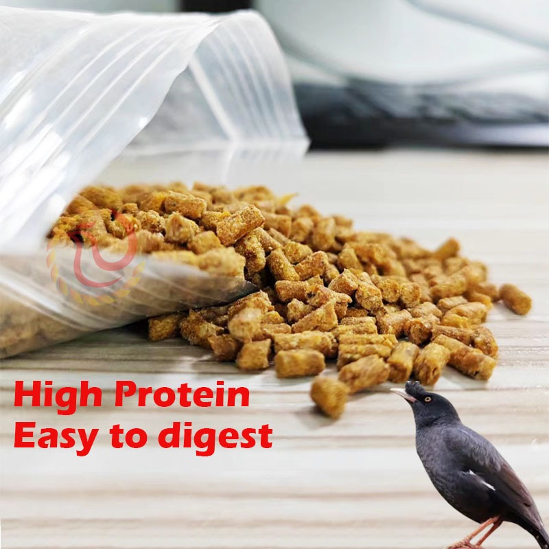 Smartheart Mynah Bird Food Bird Feed Food for Immunity Enhancer and ...