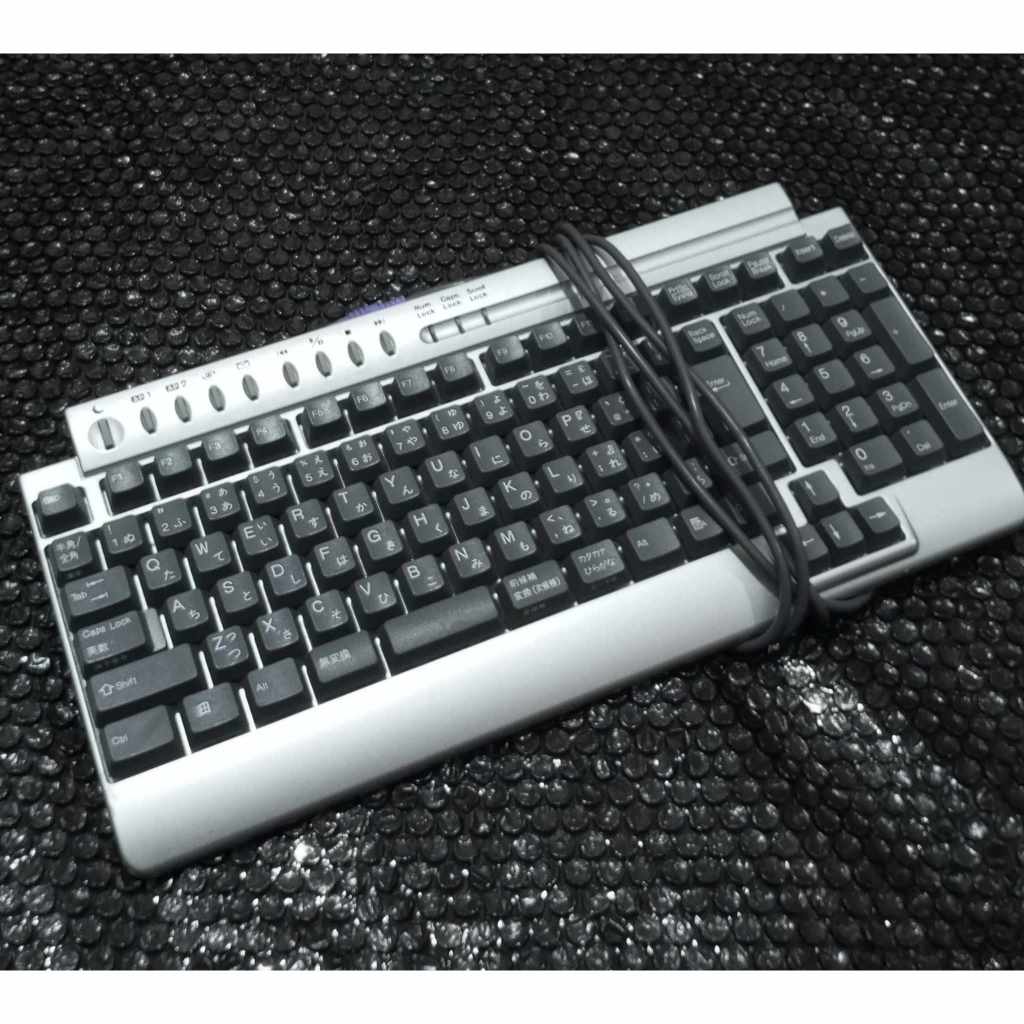 Original ELECOM Retro Multimedia PS2 Keyboard | Shopee Philippines