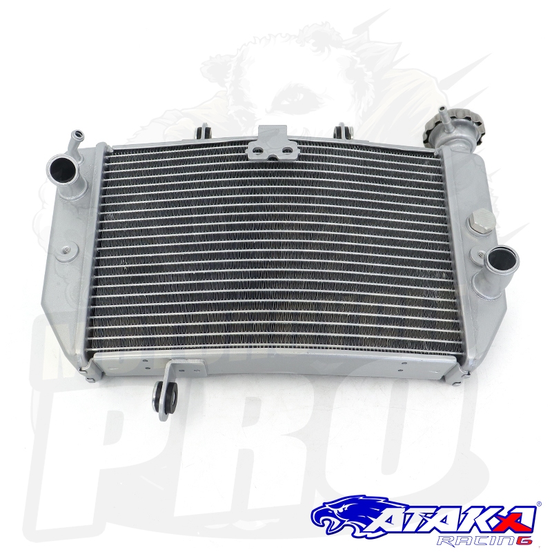 ATAKA Motorcycle Radiator For Yamaha Sniper 150 Big Curve | Shopee ...