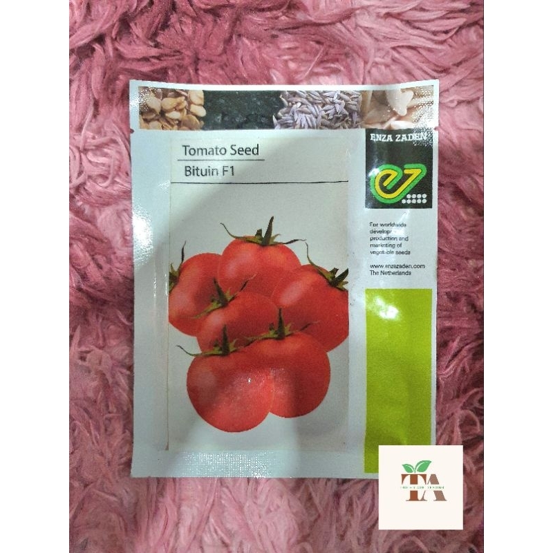 Bituin F1 Tomato Seed ~ Tomato seed 7500 seeds ~ Enza Zaden ~ | Shopee ...