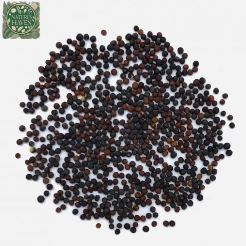 Variety Pechay seeds for planting (per grams) | Shopee Philippines