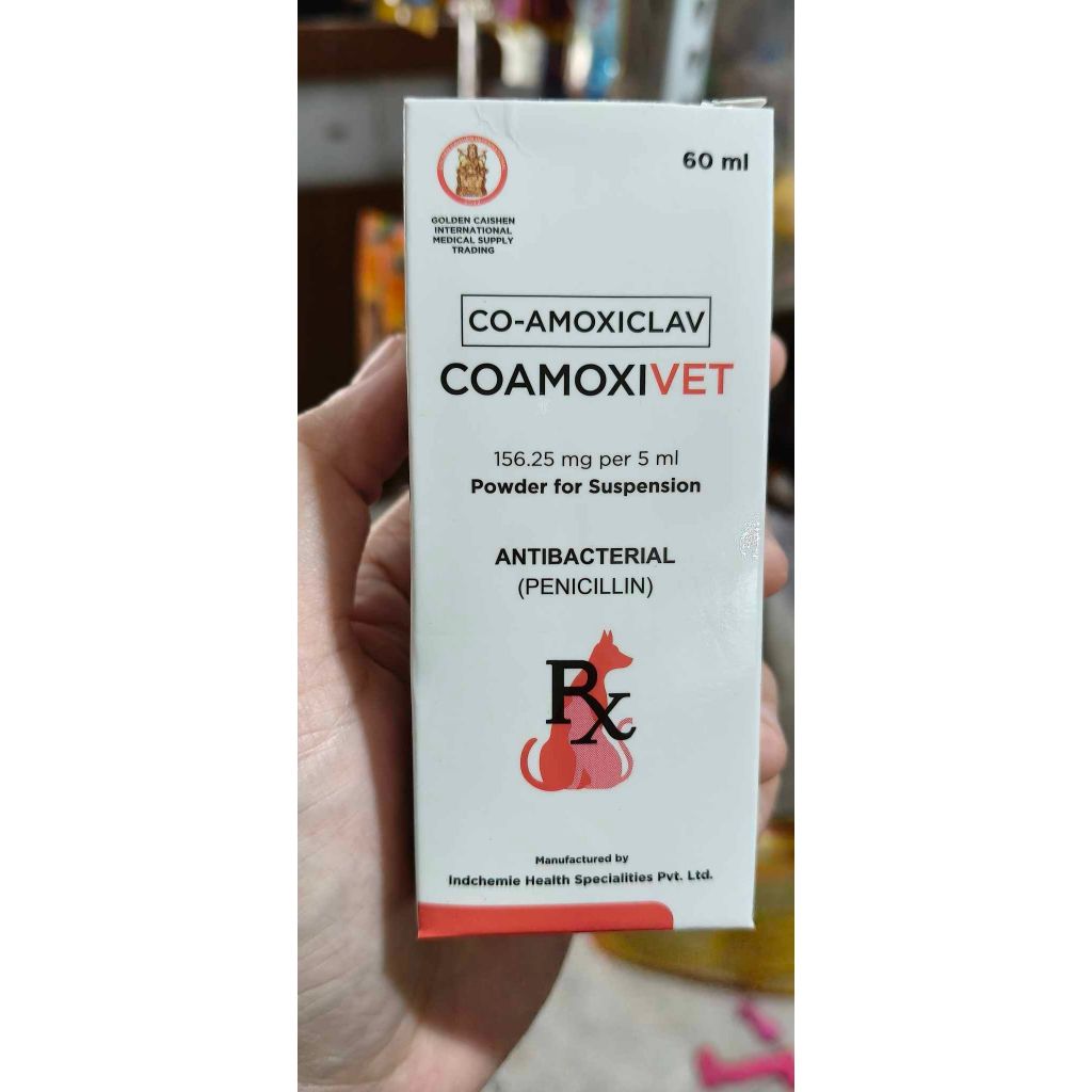 Pet CoAmox Antibiotic 60 ml Suspension | Shopee Philippines