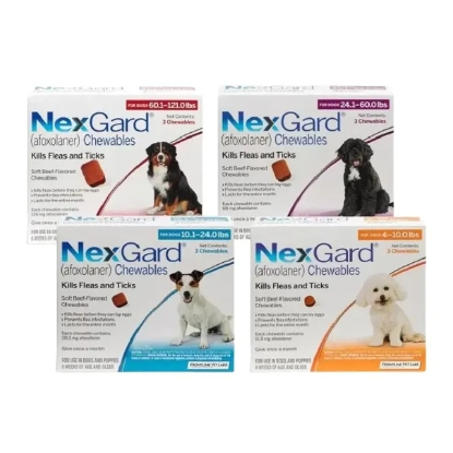 Nexgard for Dogs Chewable SOLD PER BOX WITHOUT STICKERS exp11/2026 ...