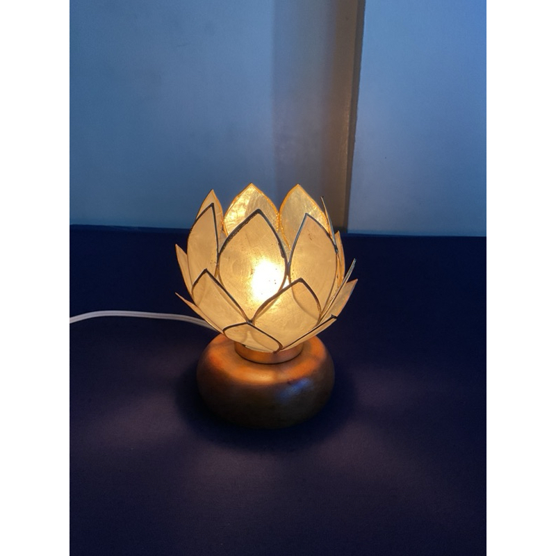 capiz lamp - Best Prices and Online Promos - Aug 2026 | Shopee Philippines