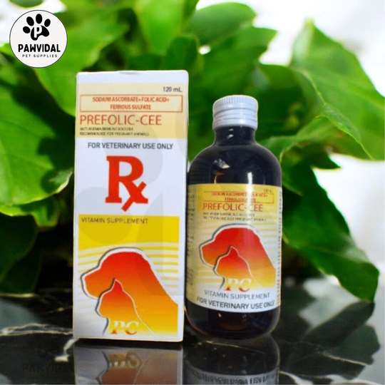 Prefolic-Cee Immune Booster 120ml | Shopee Philippines