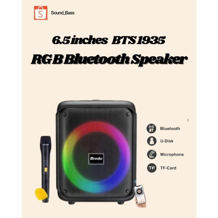 Brodu BTS-1935 6.5 inch Ikaraoke Speaker with Wireless Microphone Box ...