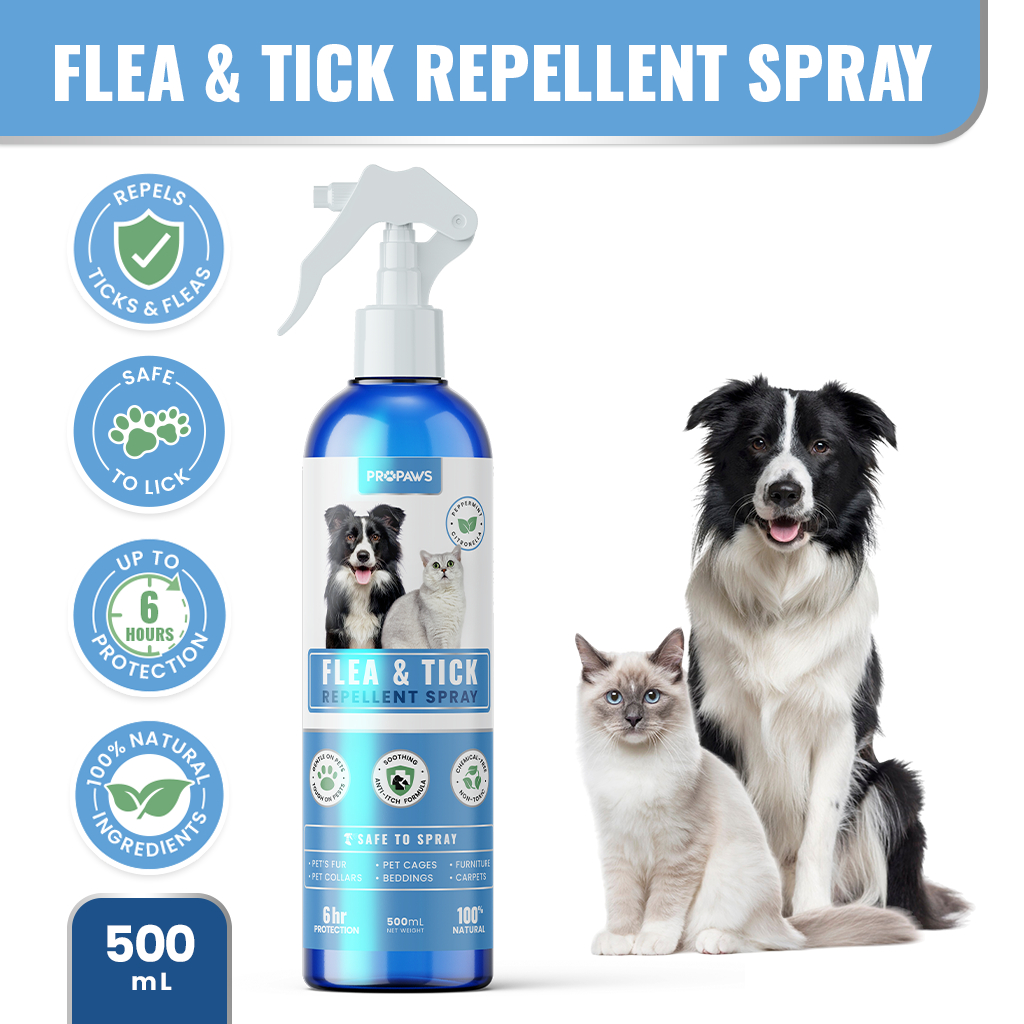 Long Lasting Flea Protection For Outdoor Cats preview