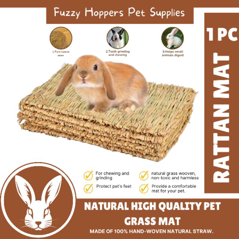 Multi Functional Wooven Grass Mat for Rabbits Guineapigs Chinchillas Other small animals Shopee Philippines