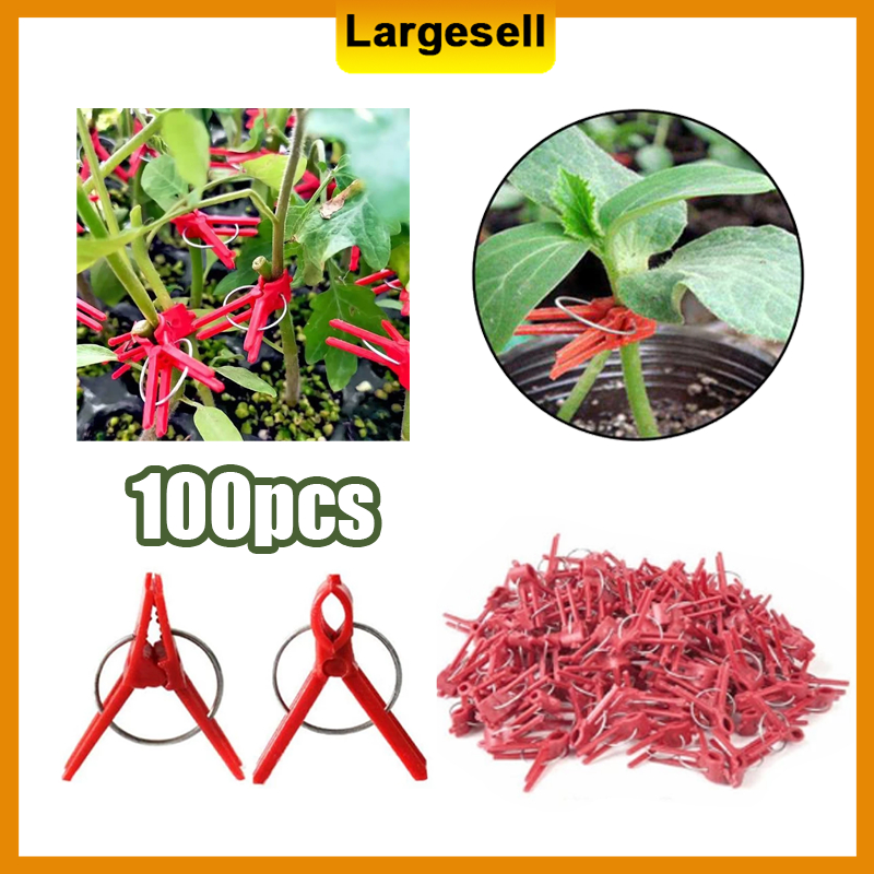 For Gardening PP Plant Grafting Clip, Size: In Mm At Rs 2.99/piece In - Foto 9