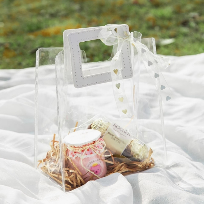 PVC Handbag Transparent mini Handbag Small Square Handletransparent ...