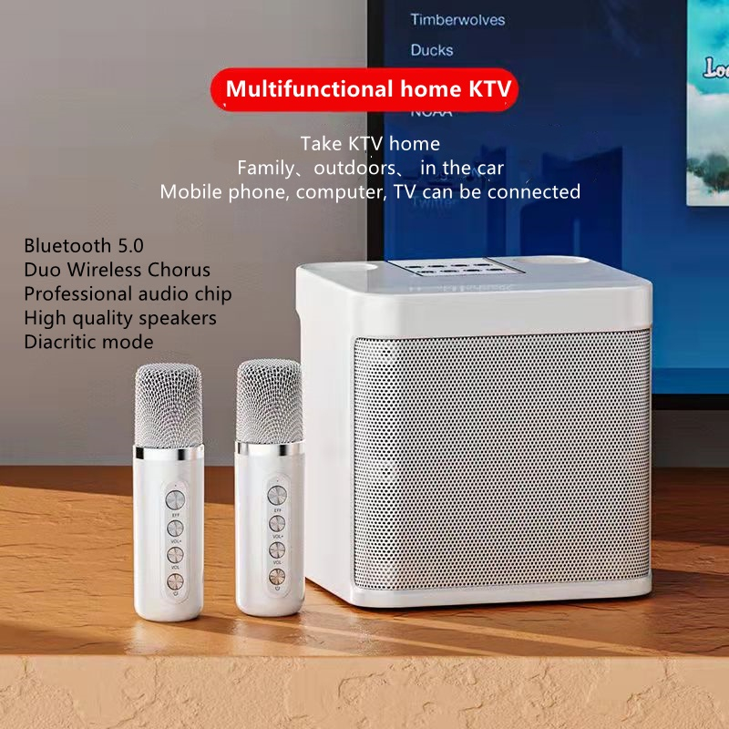 Wireless Bluetooth Stereo Amplifier Karaoke Speaker with Dual ...