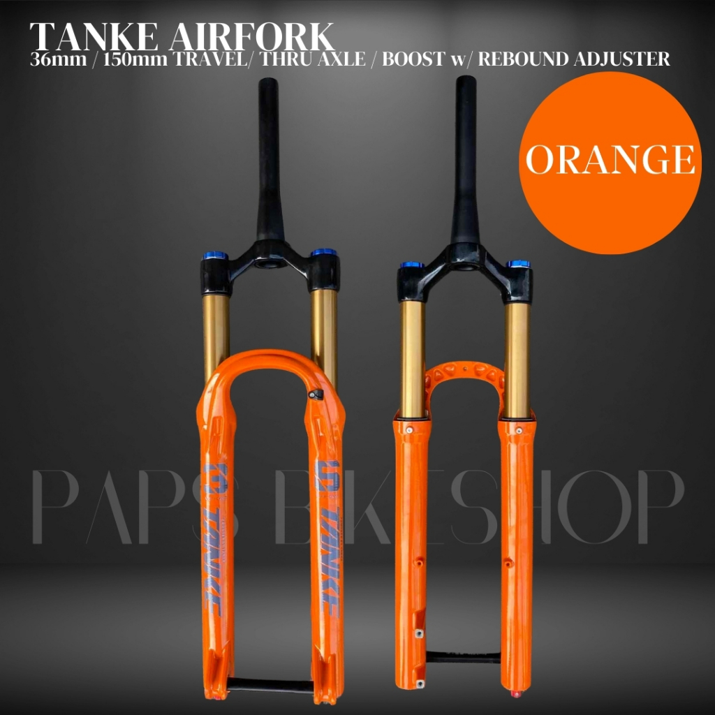 MTB TANKE 36mm - 160mm Travel