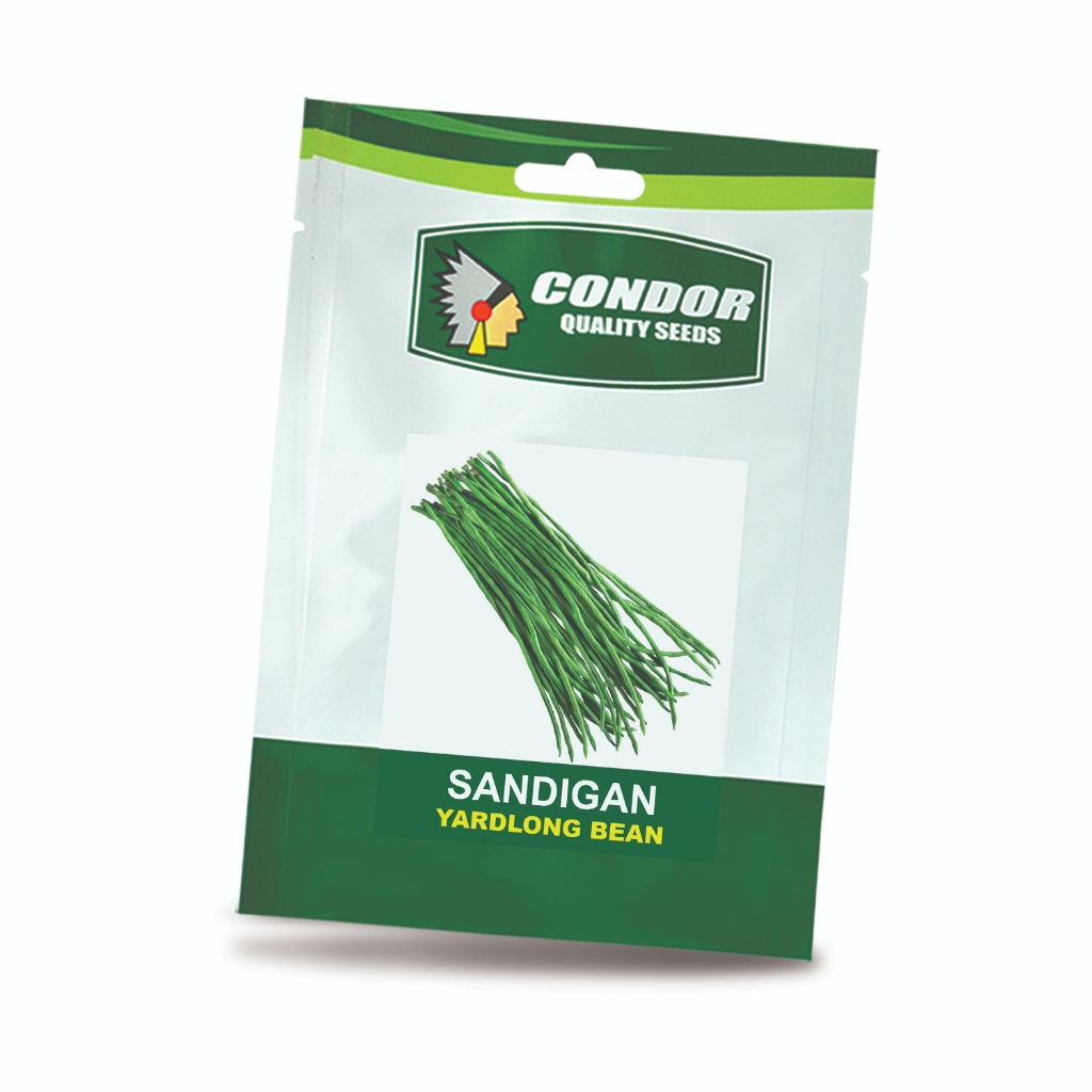 SANDIGAN (12 GRAMS) YARDLONG BEAN CONDOR QUALITY SEEDS | Shopee Philippines