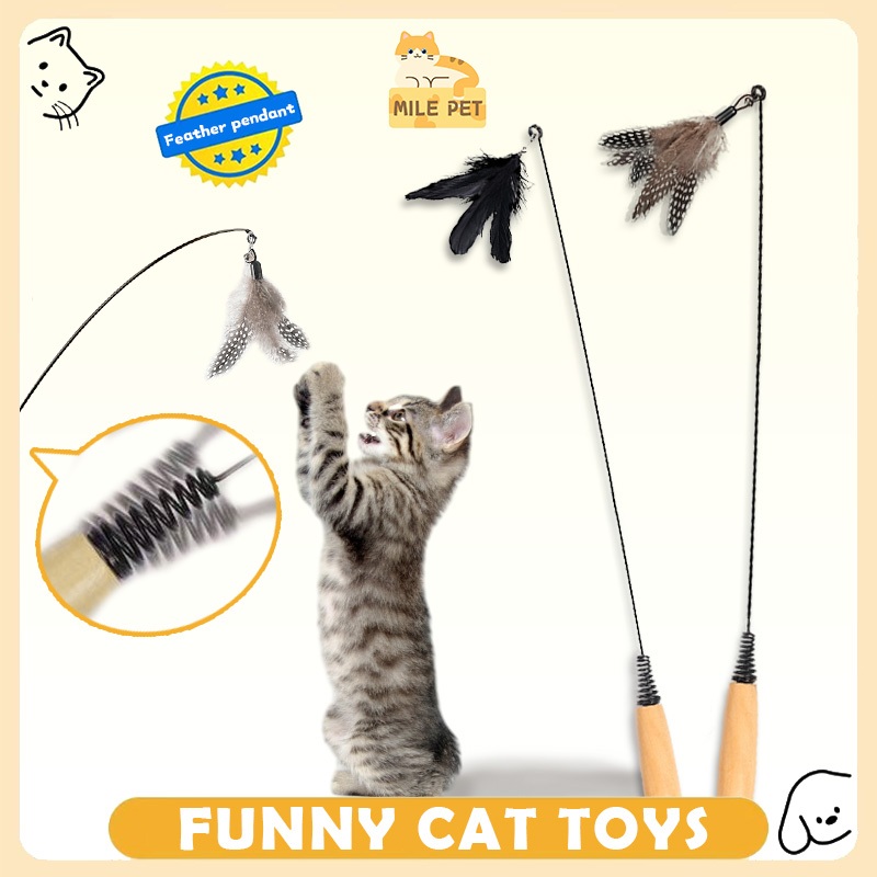 Cat Teaser Toy Wooden Handle for Indoor Cats Exercise Training Cat ...