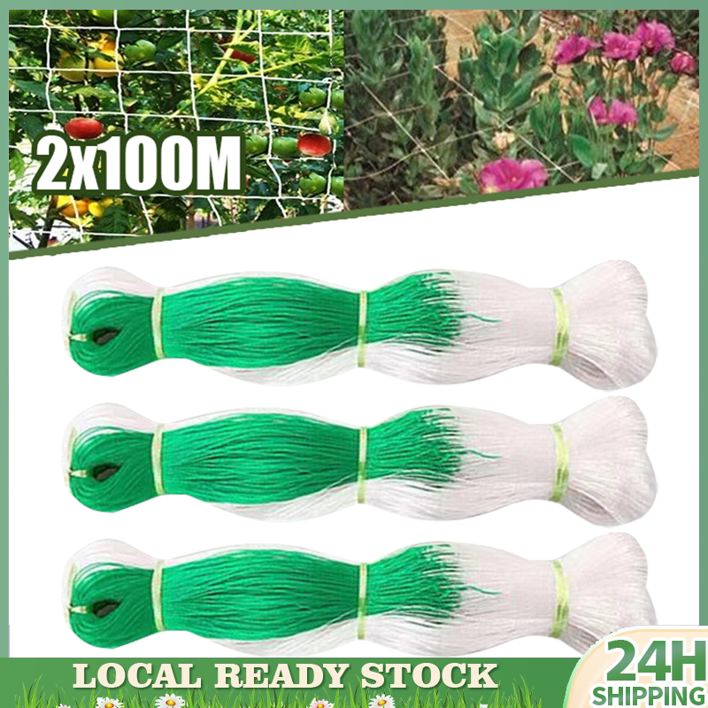 2MX100M Trellis Net For Vegetables Cucumber Garden Plant Climbing Net ...