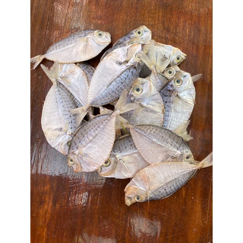 Shop sapsap fish for Sale on Shopee Philippines