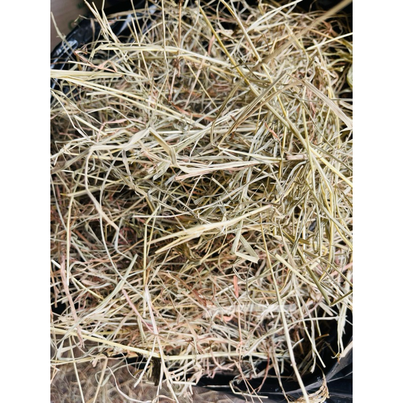 Picture Idea: Star Grass Hay For Rabbits