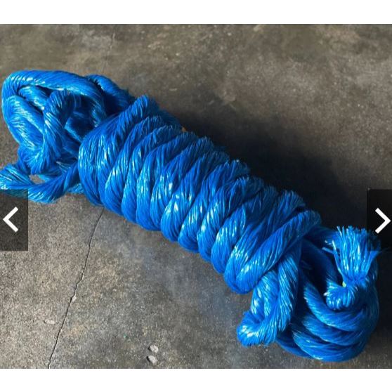 BLUE STRING Vegetable Twine 100ply per KILO | Shopee Philippines