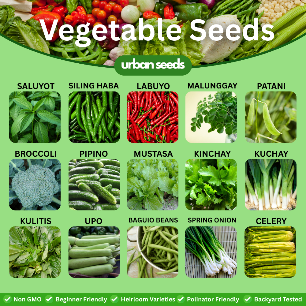Premium Vegetable Seeds Pack – Heirloom Non-GMO Seeds for Home ...