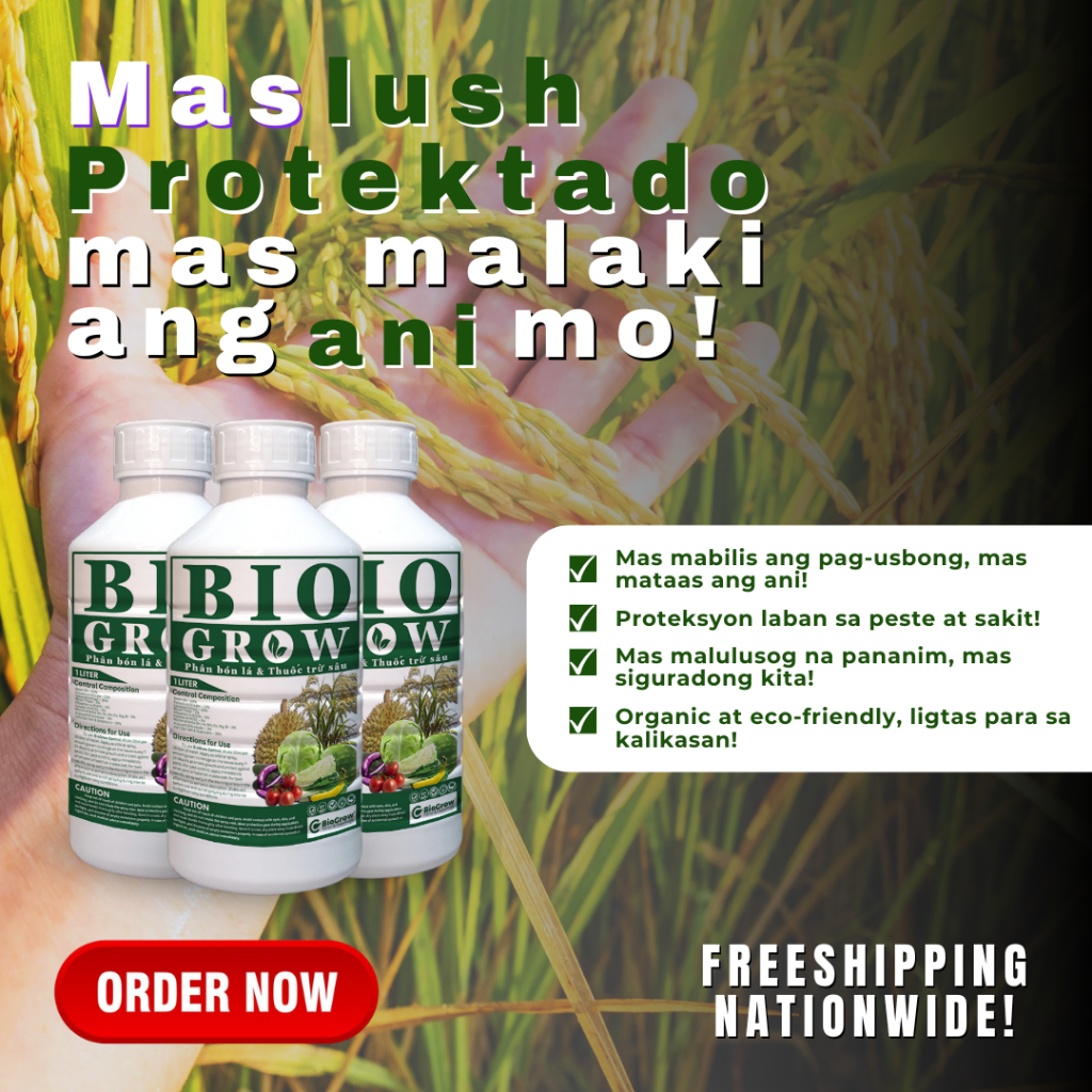 BIOGROW organic 2 in 1 Foliar Fertilizer & Insecticide 500ML - 3LITERS ...