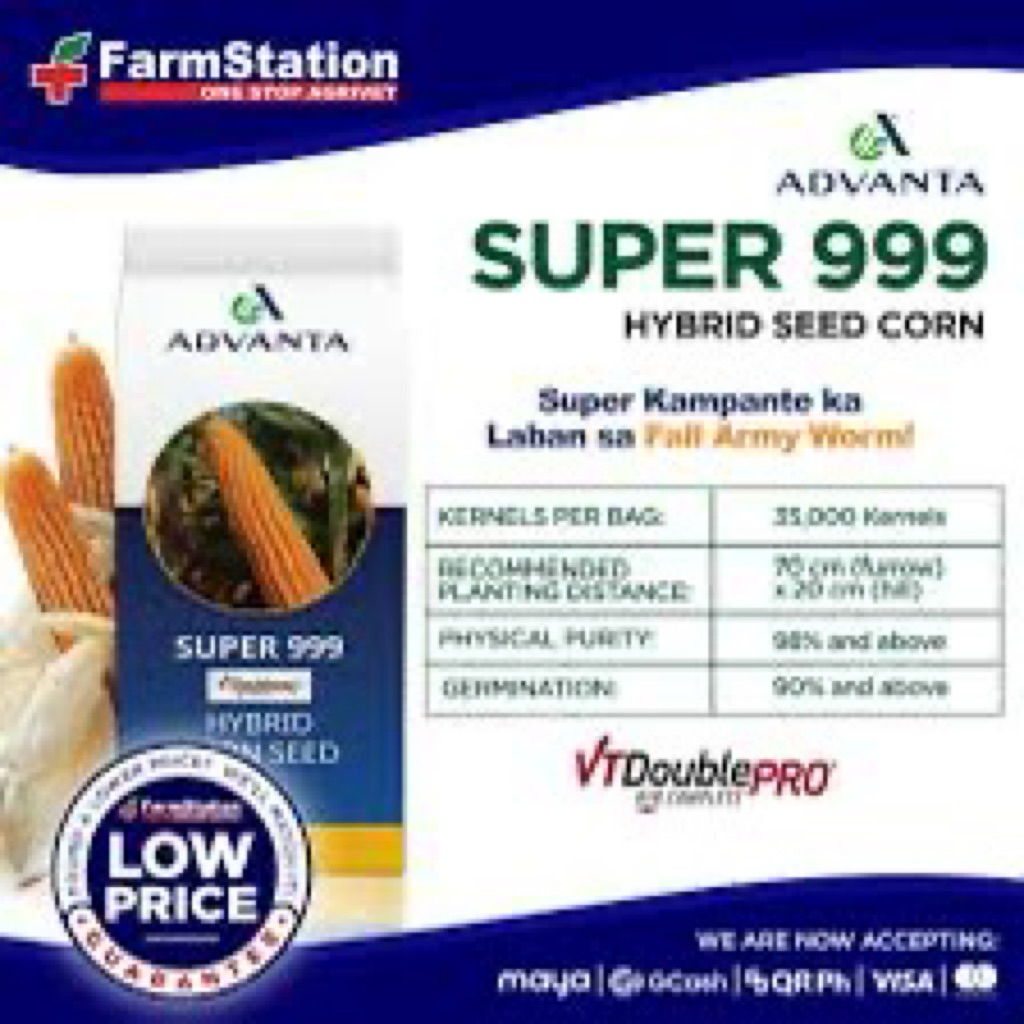 Advanta Super 999 Vt Double Pro 9kg Corn Seeds | Shopee Philippines