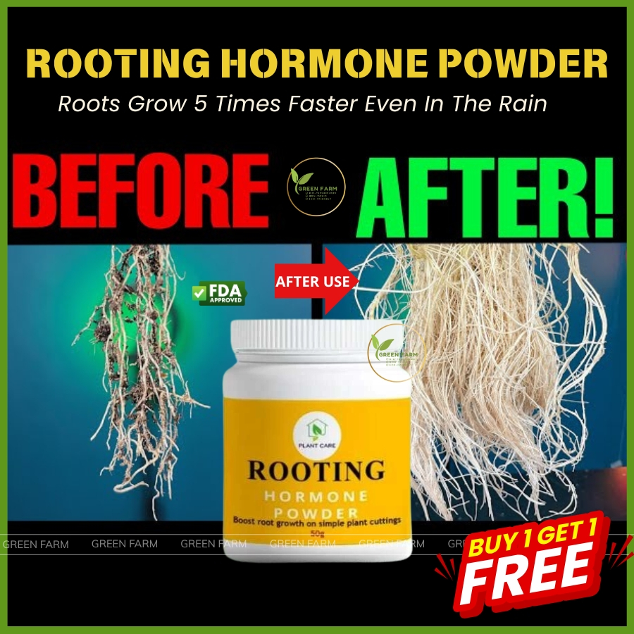 [BUY 2 GET 2 FREE] Plant Rapid ROOTING HORMONE POWDER 50G - Rooting ...