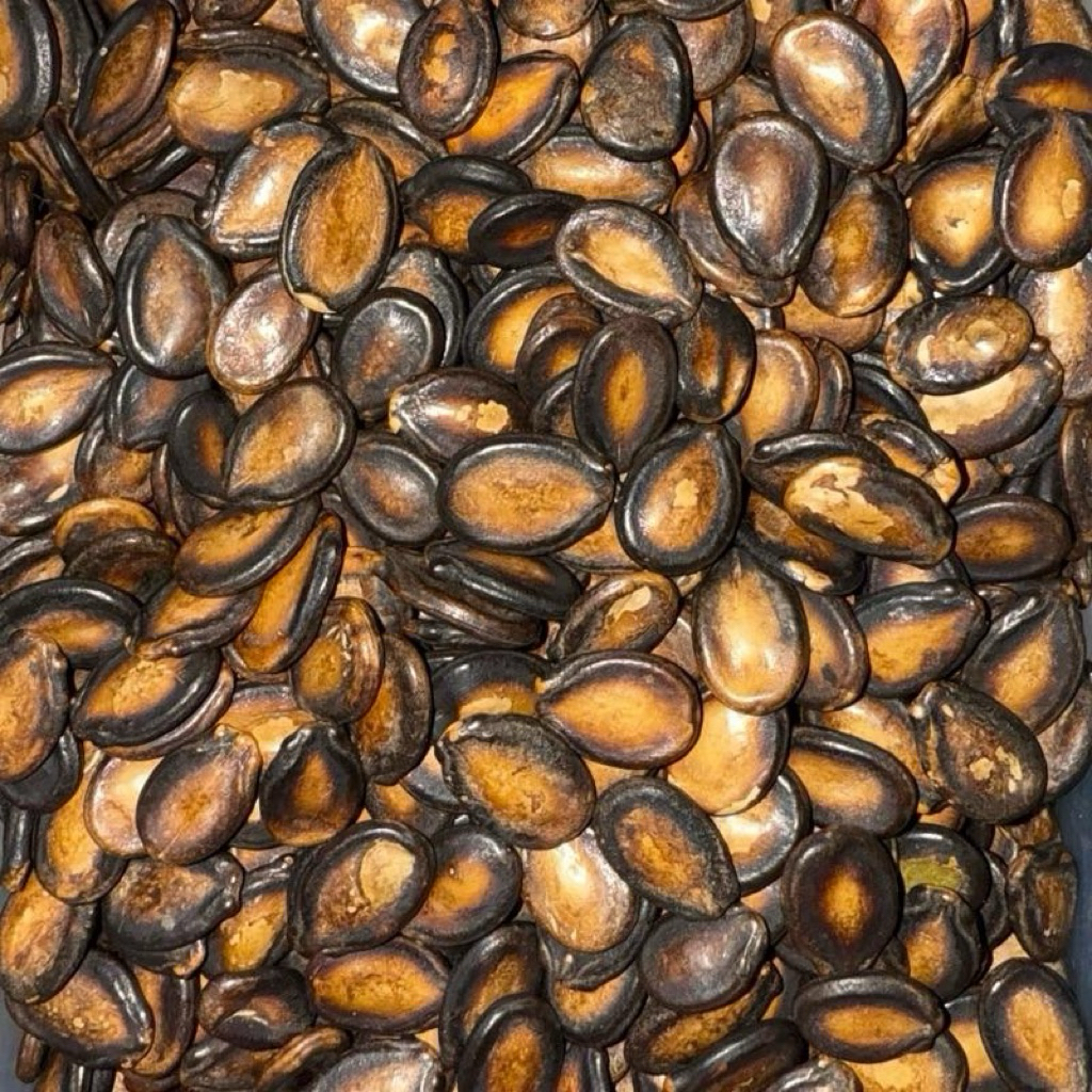Shop pakwan for Sale on Shopee Philippines