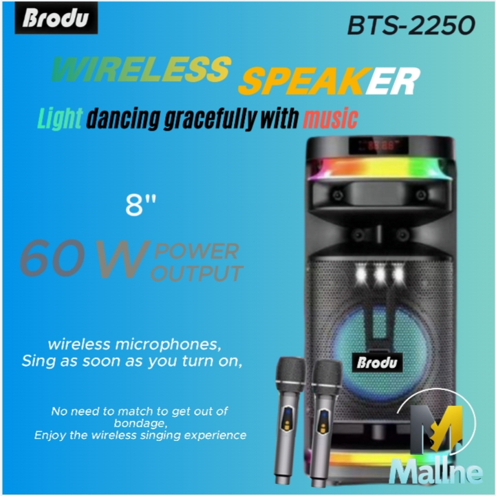 Brodu BTS-2250 Portable Bluetooth Dual professional Karaoke Speaker ...