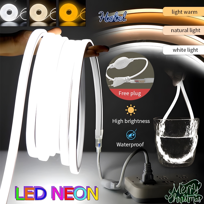 LED Strip Light 100M/50M Warm/Cold Room Christmas Decoration Neon LED