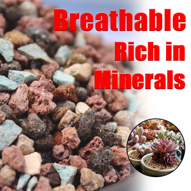 1kg Pon Substrate Soilless Mix for Curated Plants (Plant Potting Mix ...