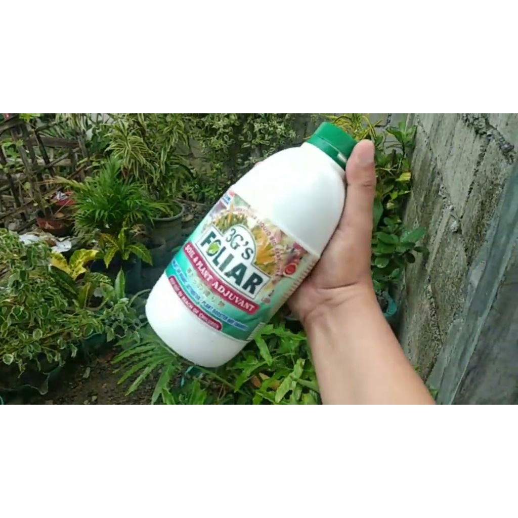 3Gs Japan Super Foliar Fertilizer Soil & Plant Growth Enhancer ...