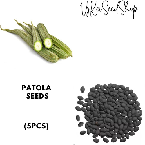 Patola/Silk Squash Seeds (5pcs) | Shopee Philippines