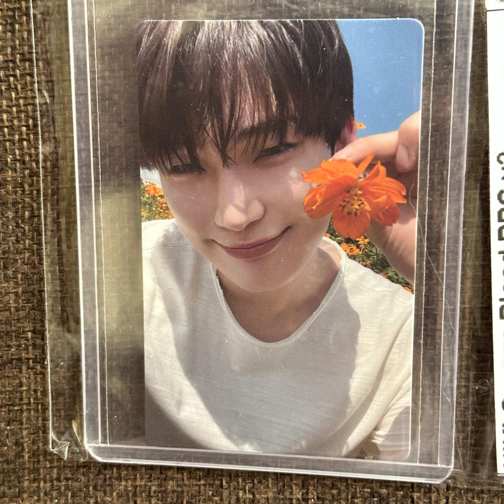 OFFICIAL | ENHYPEN SUNOO WEVERSE ORANGE BLOOD RPC ALBUM PHOTOCARDS PC ...