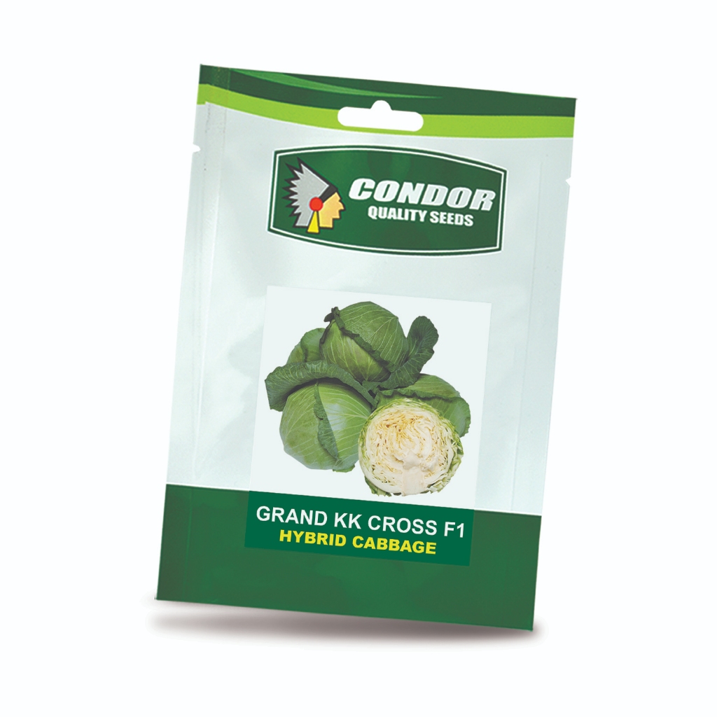 GRAND KK CROSS F1 (1 GRAM) HYBRID CABBAGE CONDOR QUALITY SEEDS | Shopee ...