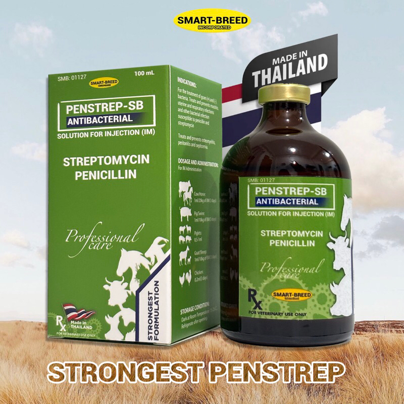 Penstrep-SB Penicillin 100ML | Shopee Philippines