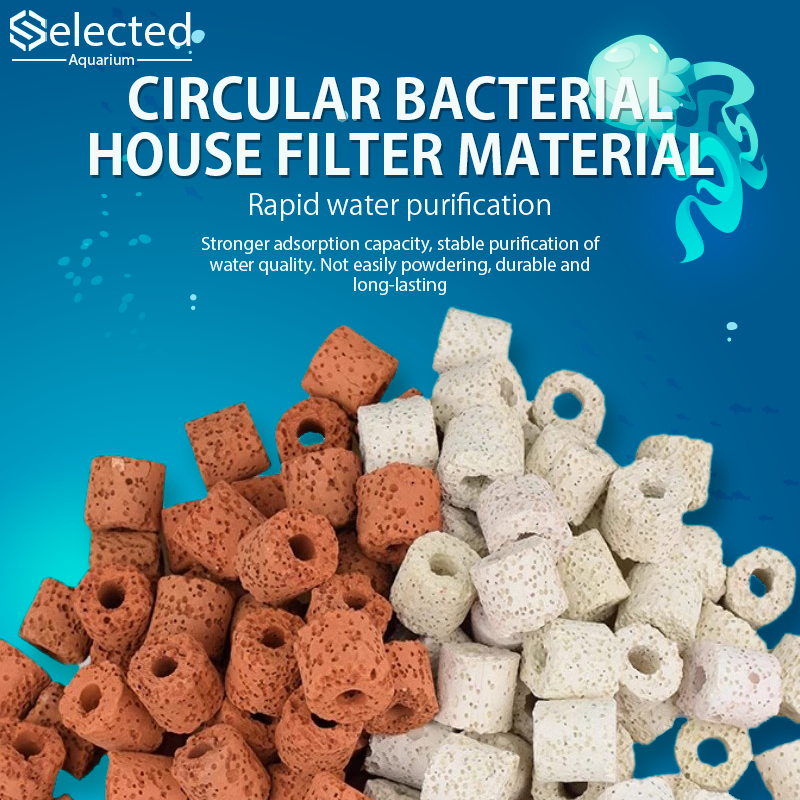 Premium Ceramic Bio Rings-Filter Media For Aquarium Fish Tank Pond ...
