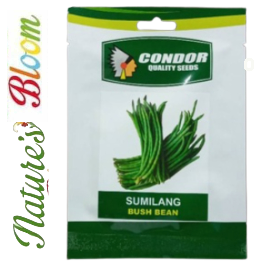 SUMILANG BUSH BEANS 15 GRAMS OR 50-65 SEEDS (CONDOR SEEDS) | Shopee ...