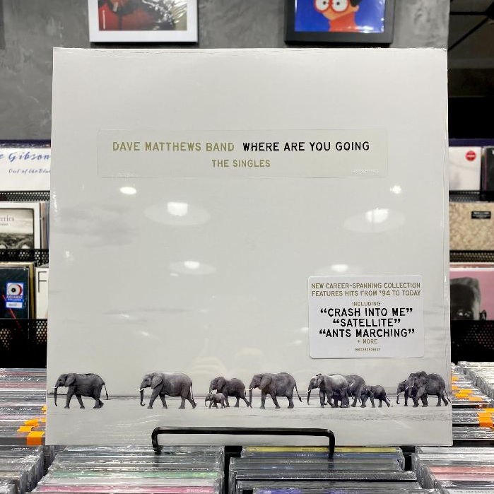 Surprising Where Are You Going Dave Matthews Lyrics Photos