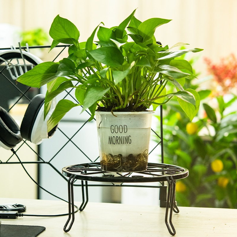 European Type Flowerpot Rack Floor Single Pot Plant Iron Flowerpot Rack ...