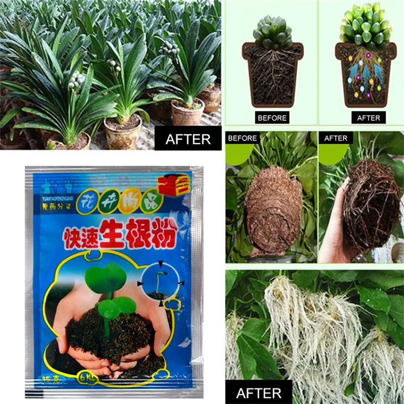 Fast Rooting Powder Hormone Powder (1 Pack) Rooting Powder Fertilizer ...