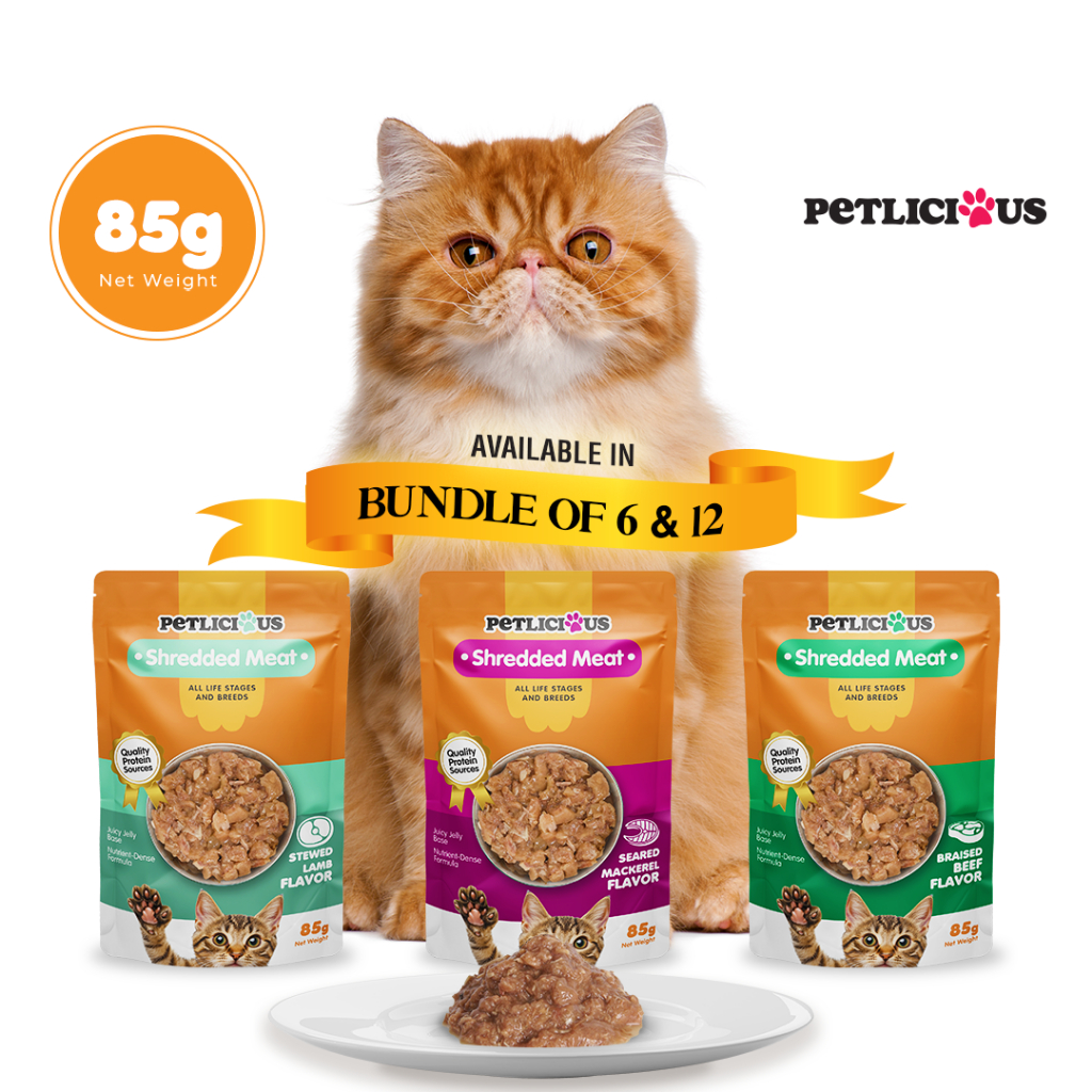 Petlicious Shredded Meat in Jelly Adult Cat and Kitten Wet Food Pouch ... - Kitten Wet Food With Lamb