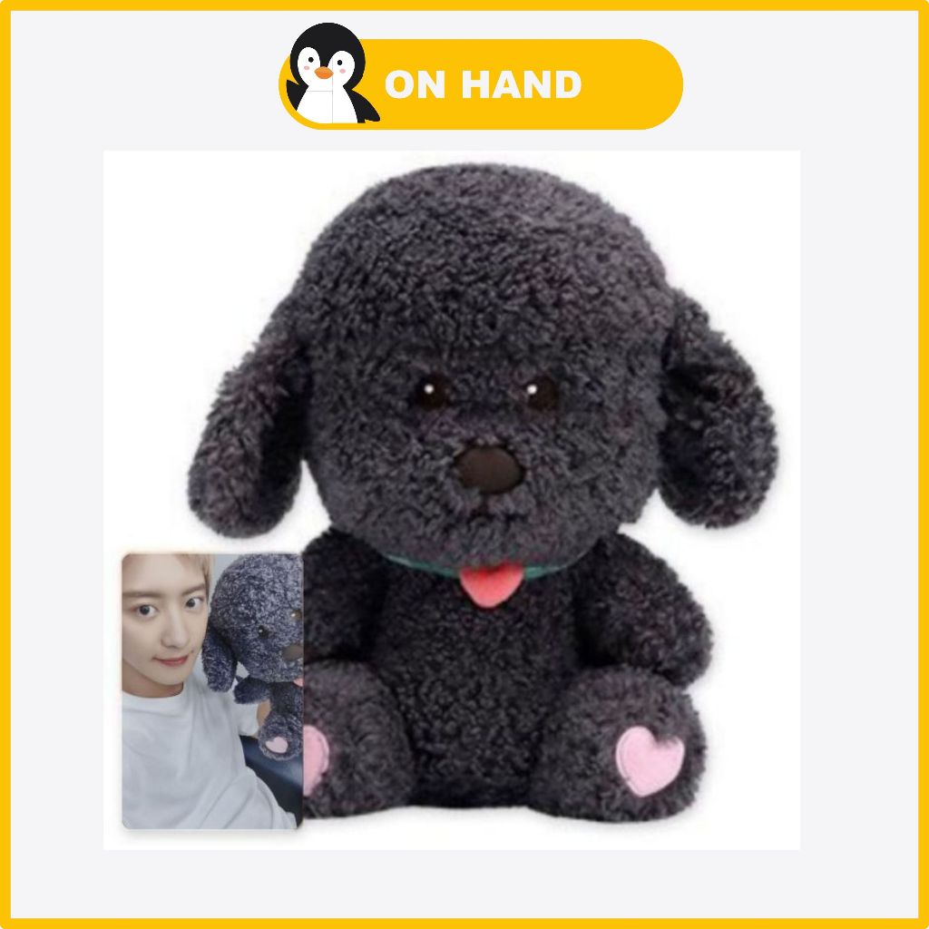 Chanyeol 2024 Live Tour City-scape in Seoul Official MD 40cm Doll