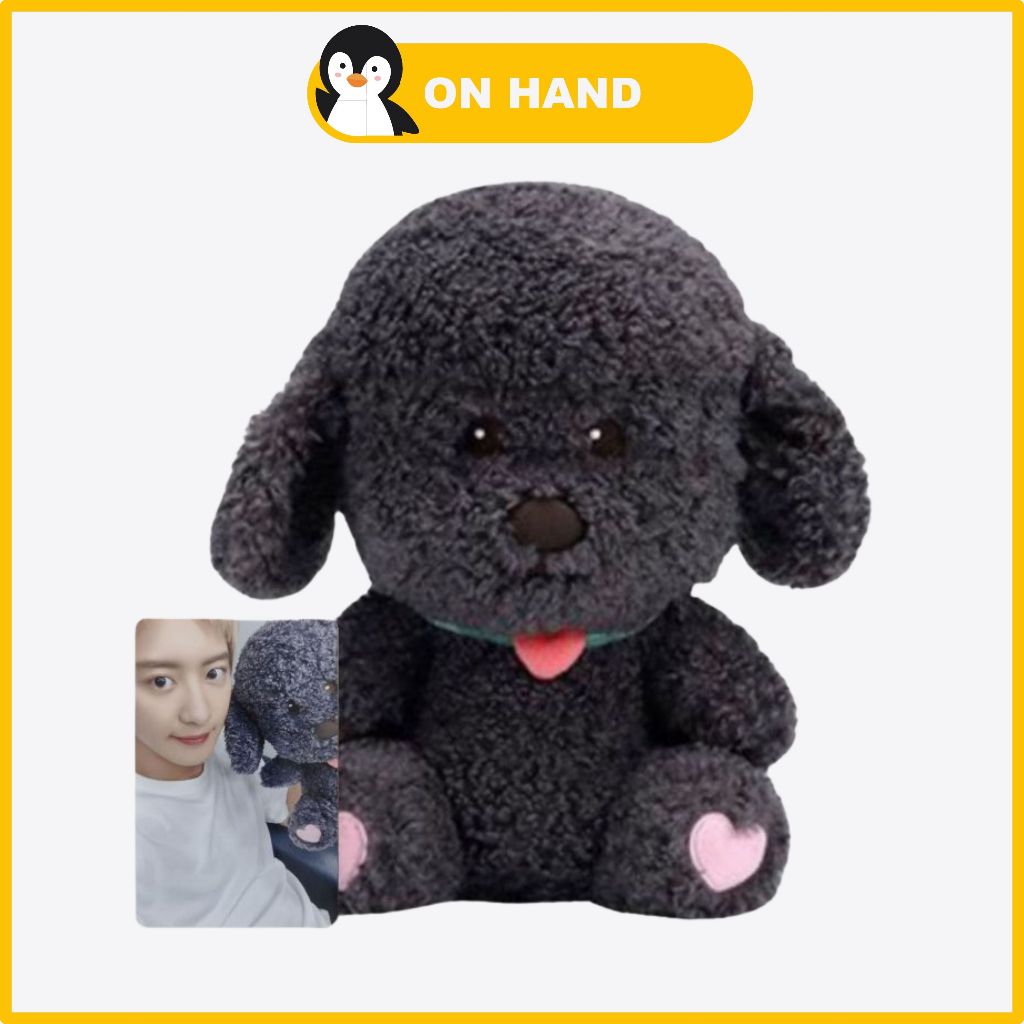Chanyeol 2024 Live Tour City-scape in Seoul Official MD 40cm Doll