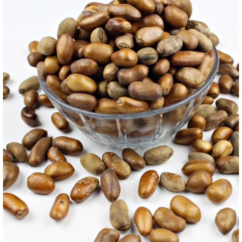 Ehuru is also known as calabash nutmeg good spice 20 pieces | Shopee ...