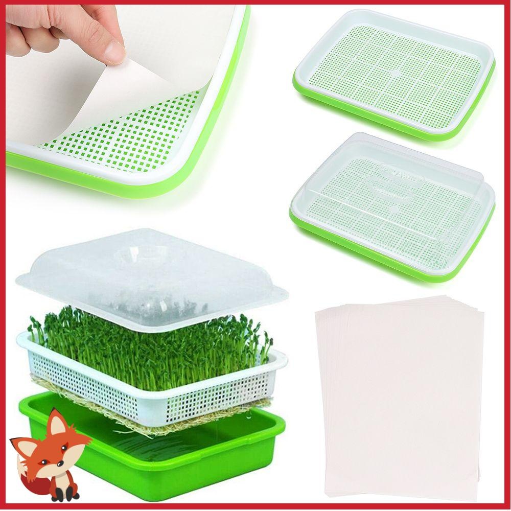 STL 3/6 sets Sprouting Tray With Lid Easy Drain Mess Control Budding ...