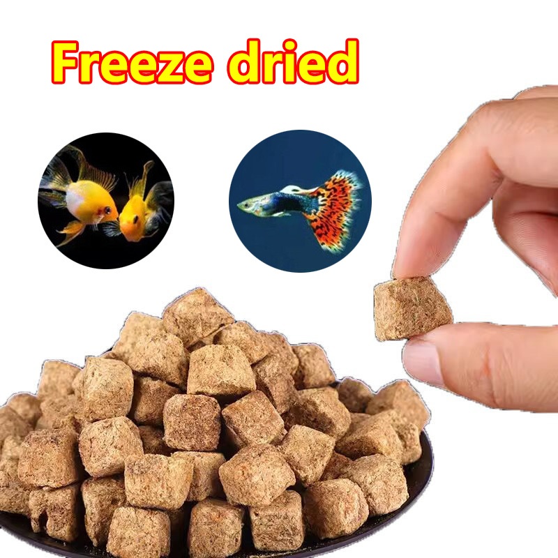 Tubifex Cube Freeze Dried 20 grams Fish Food High Quality Fish Food