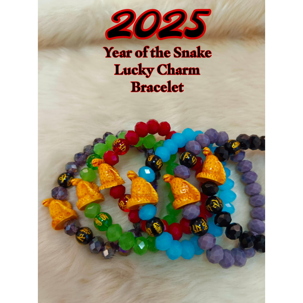 2025 Year of he Snake Lucky Charm Bracelet Blessed and cleansed